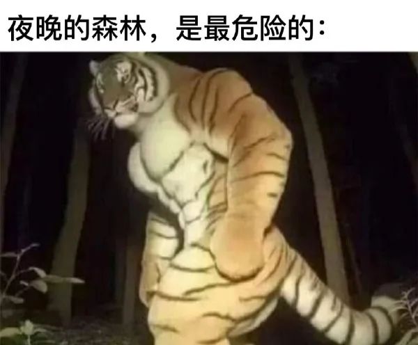 Word文档图片