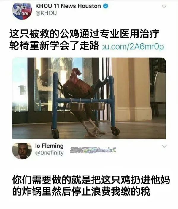 Word文档图片