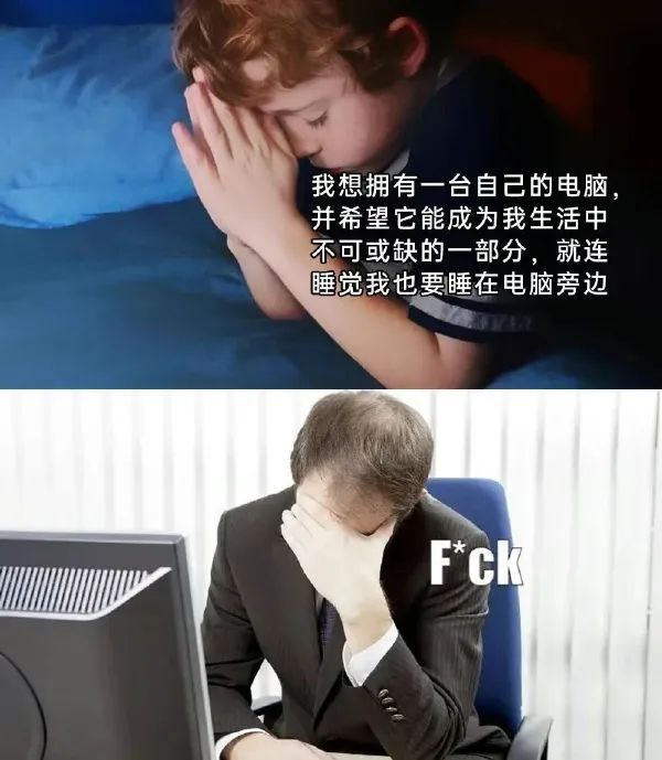 Word文档图片