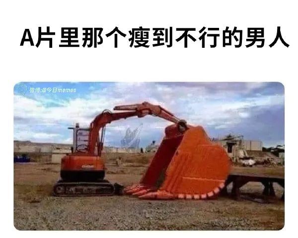 Word文档图片