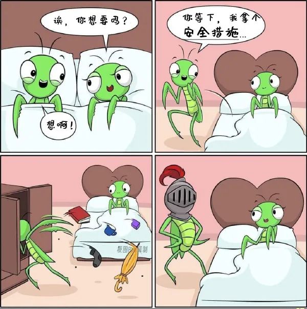 Word文档图片