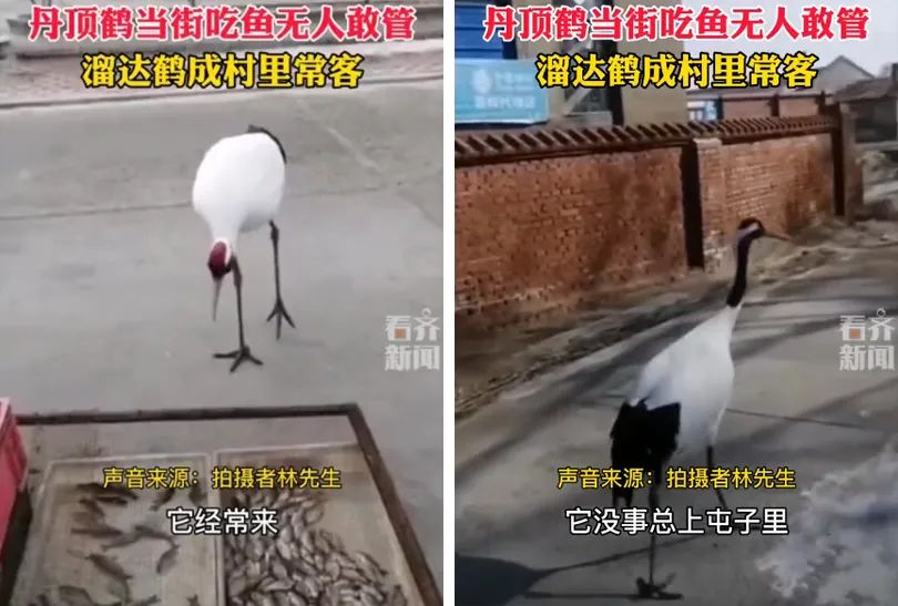 Word文档图片
