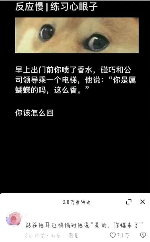 Word文档图片