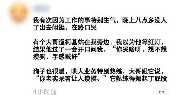 Word文档图片