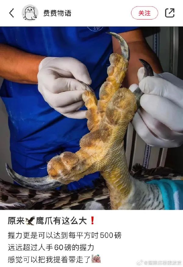 Word文档图片