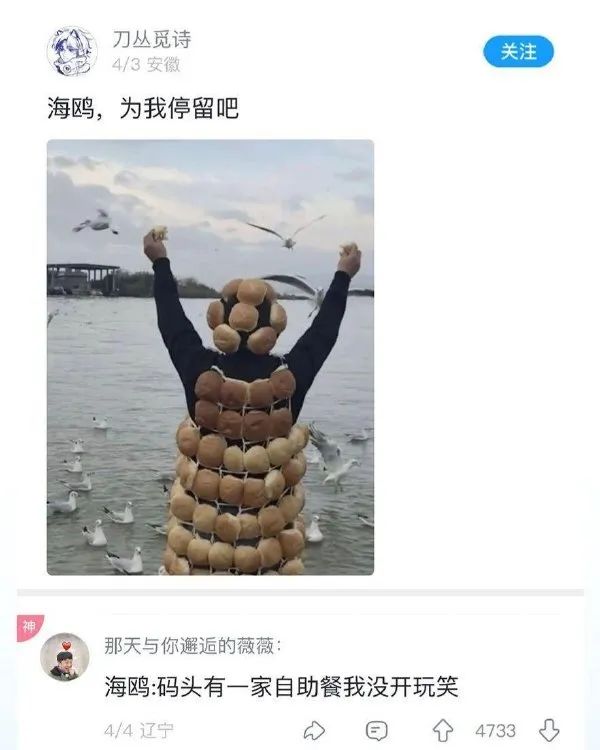 Word文档图片