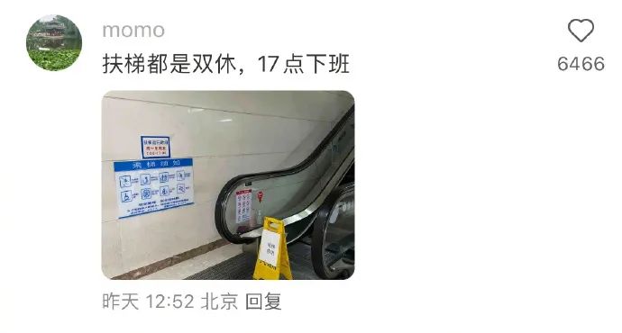 Word文档图片