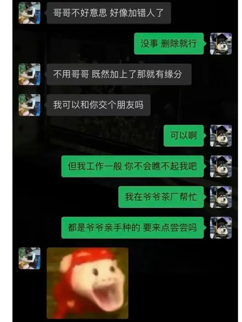 Word文档图片