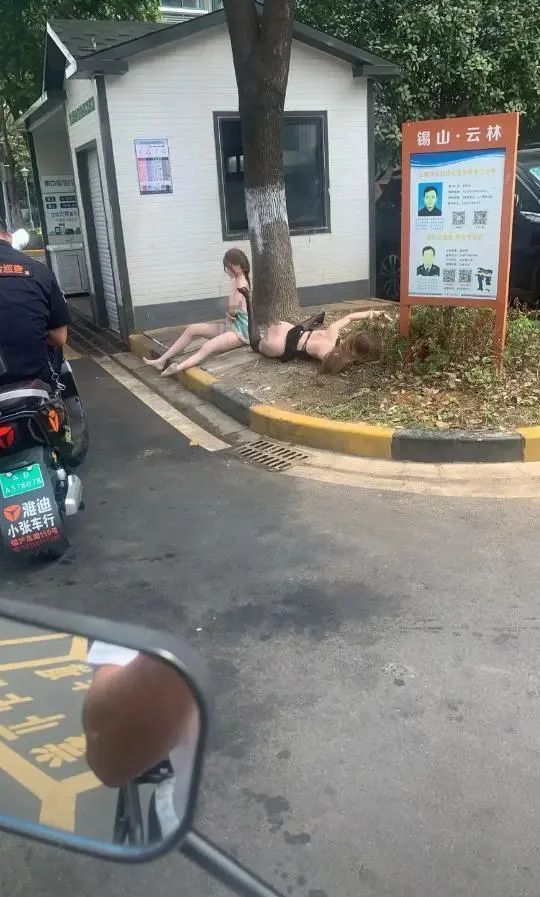 Word文档图片
