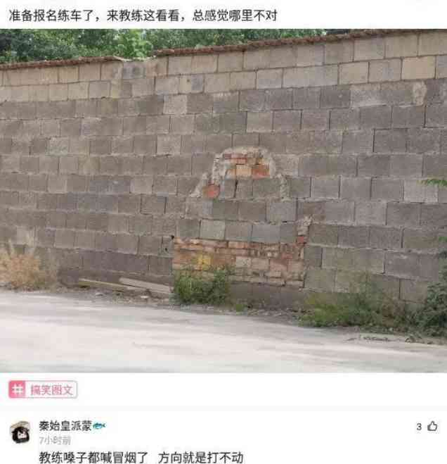 Word文档图片