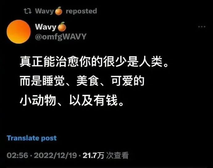 Word文档图片