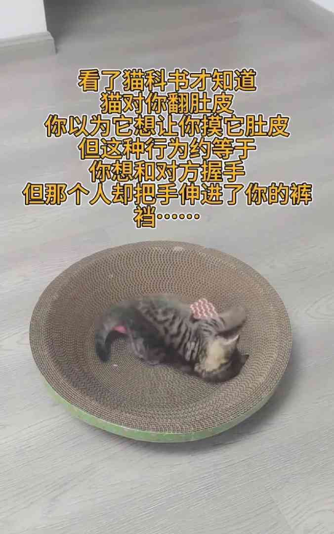 Word文档图片